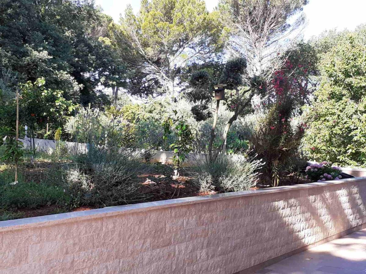 Apartments Marina-Mare Πόρετς Εξωτερικό φωτογραφία